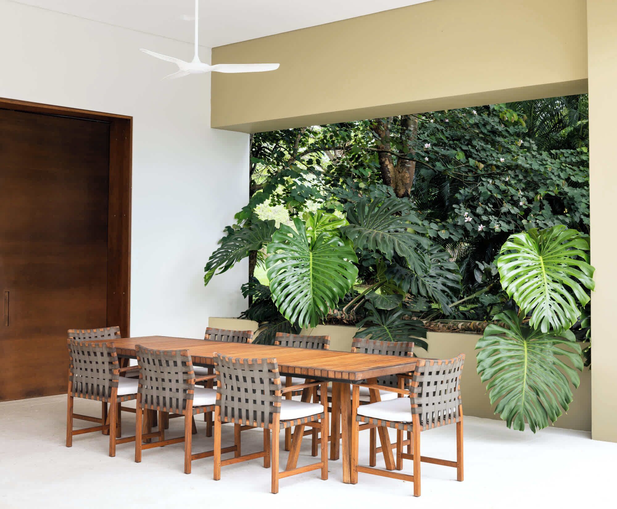 Uma sala de jantar com uma mesa e cadeiras de madeira, cercada por plantas verdes grandes.