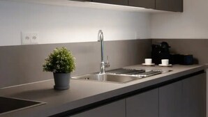 Eine moderne Küche mit Spüle aus Edelstahl, einem Blumentopf und einer Kaffeemaschine.