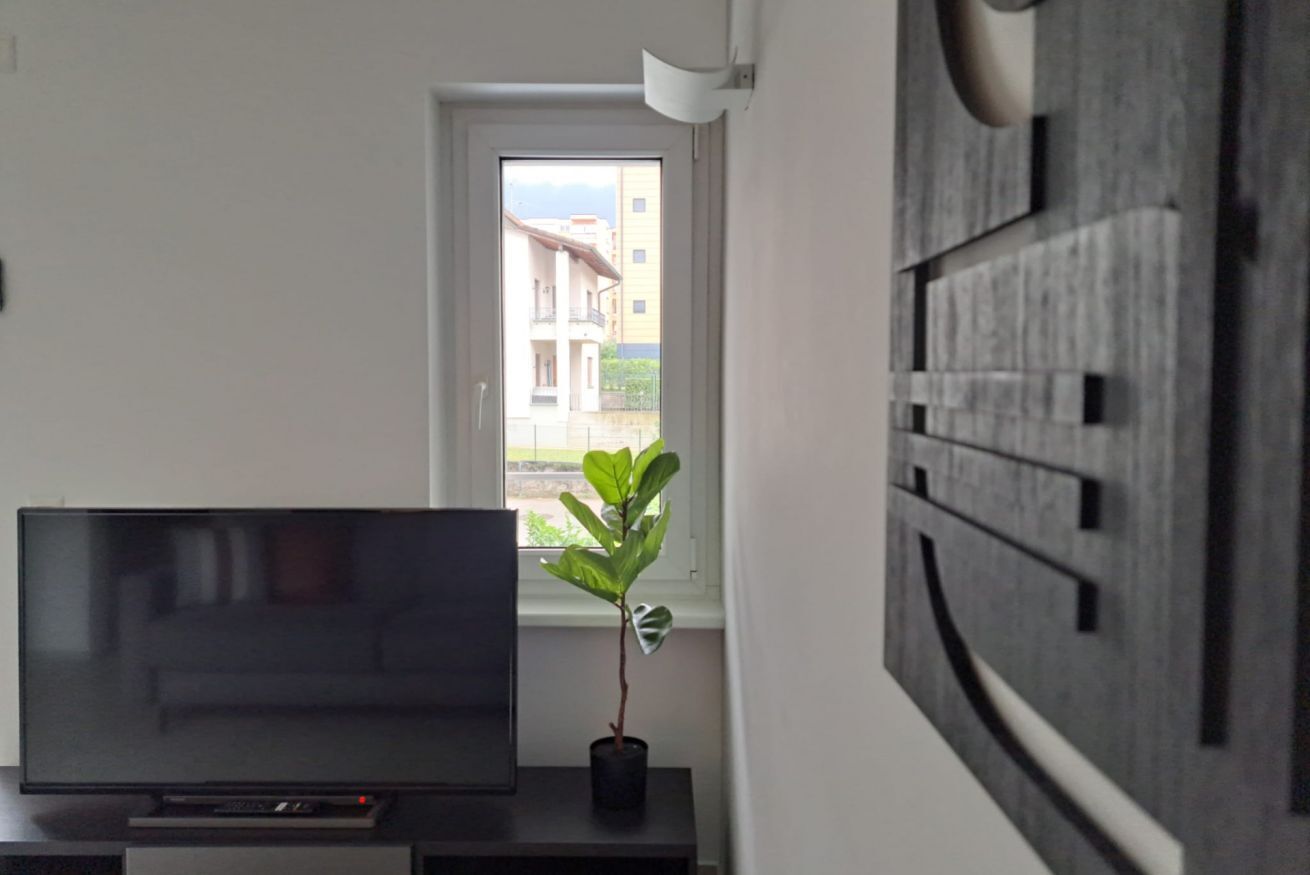 A room with a TV on a stand, a potted plant by a window, and a modern wall unit.