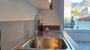 Une cuisine moderne dotée d’un évier en acier inoxydable, d’un robinet et d’une fenêtre donnant sur un quartier résidentiel, avec des montagnes en arrière-plan.