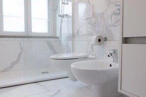 Shower, hair dryer, bidet, towels