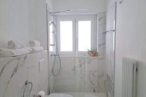 Shower, hair dryer, bidet, soap