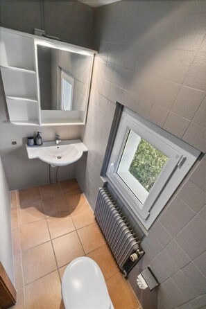 Hair dryer, towels - Pretty chalet-style studio (Euseigne)