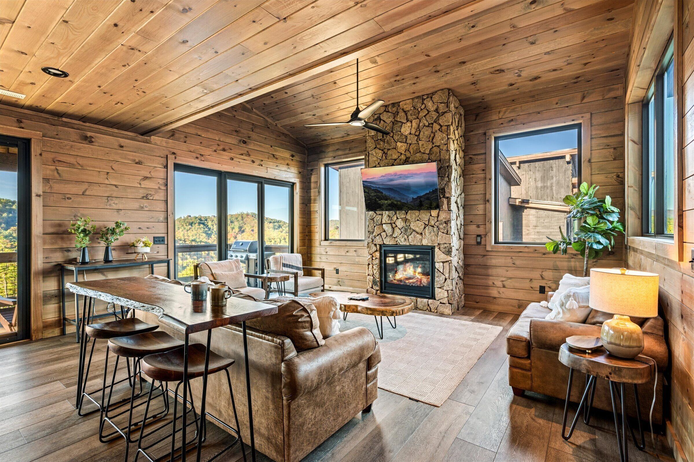 Smart TV, fireplace