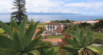 Carpe Diem Apartment