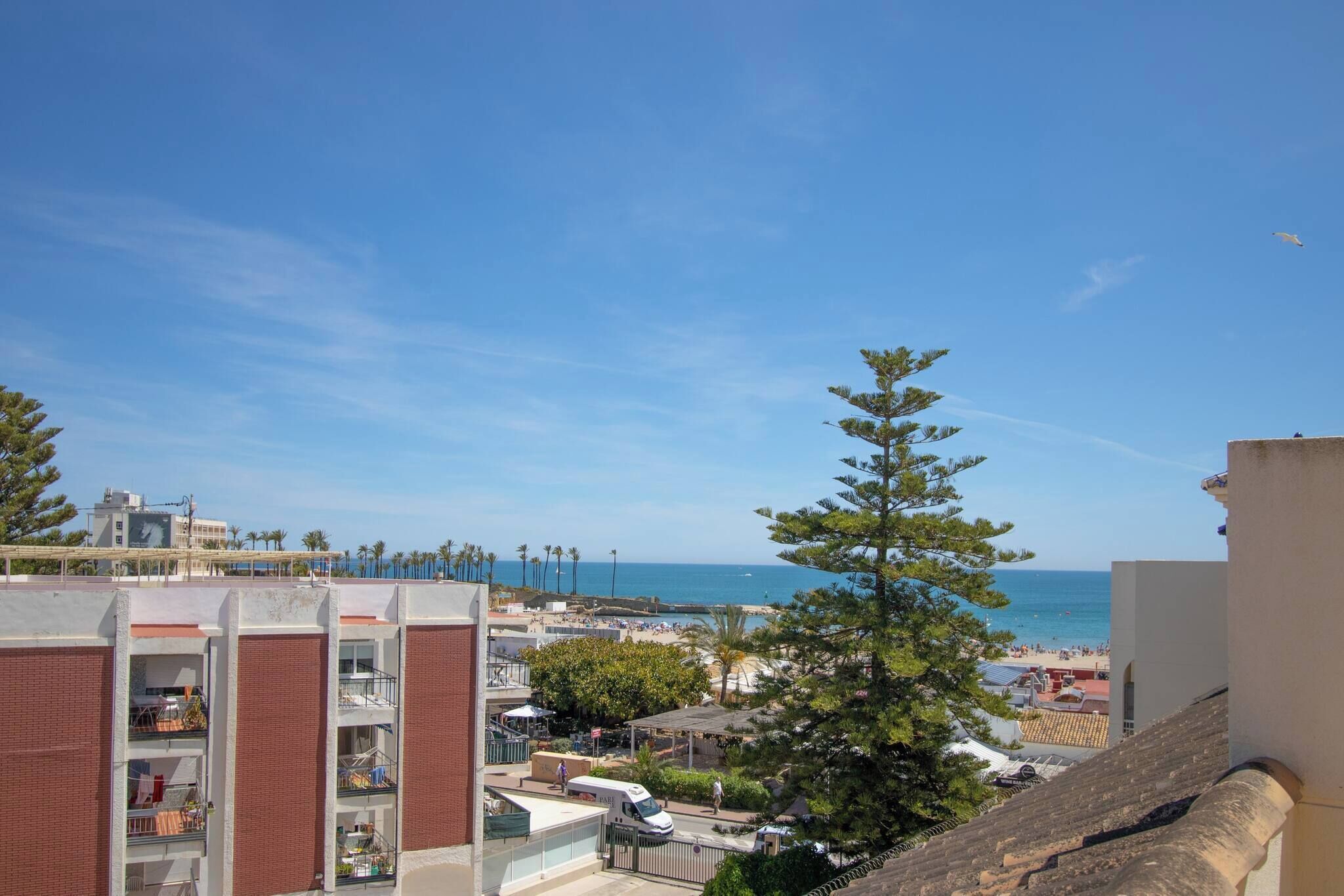 A coastal view with a beach, a tall pine tree, and a building with balconies.