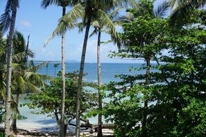 Palmujen reunustama ranta, josta avautuu näkymä valtamerelle.
