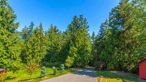 A residential driveway leading to a house surrounded by dense trees. - Studio Loft in the Woods|Washer & Dryer|Workspace (Sequim)