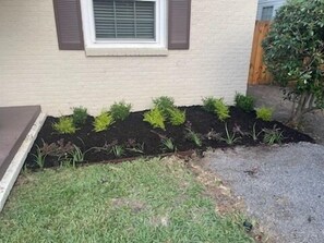 Exterior - Welcome To Our Hive! (Biloxi)