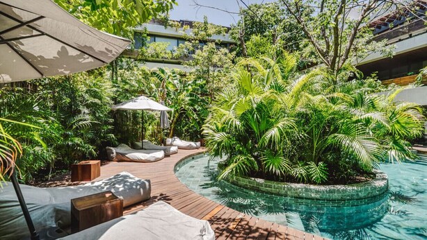 Un espace piscine doté d’une terrasse en bois, de chaises longues et d’un petit îlot agrémenté de plantes tropicales.