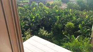 Blick aus einem Fenster auf einen üppigen Garten mit Bananenbäumen und eine Wohngegend im Hintergrund.