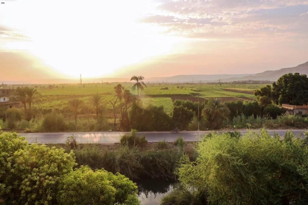 Un paysage rural avec une rivière, des champs et un palmier.