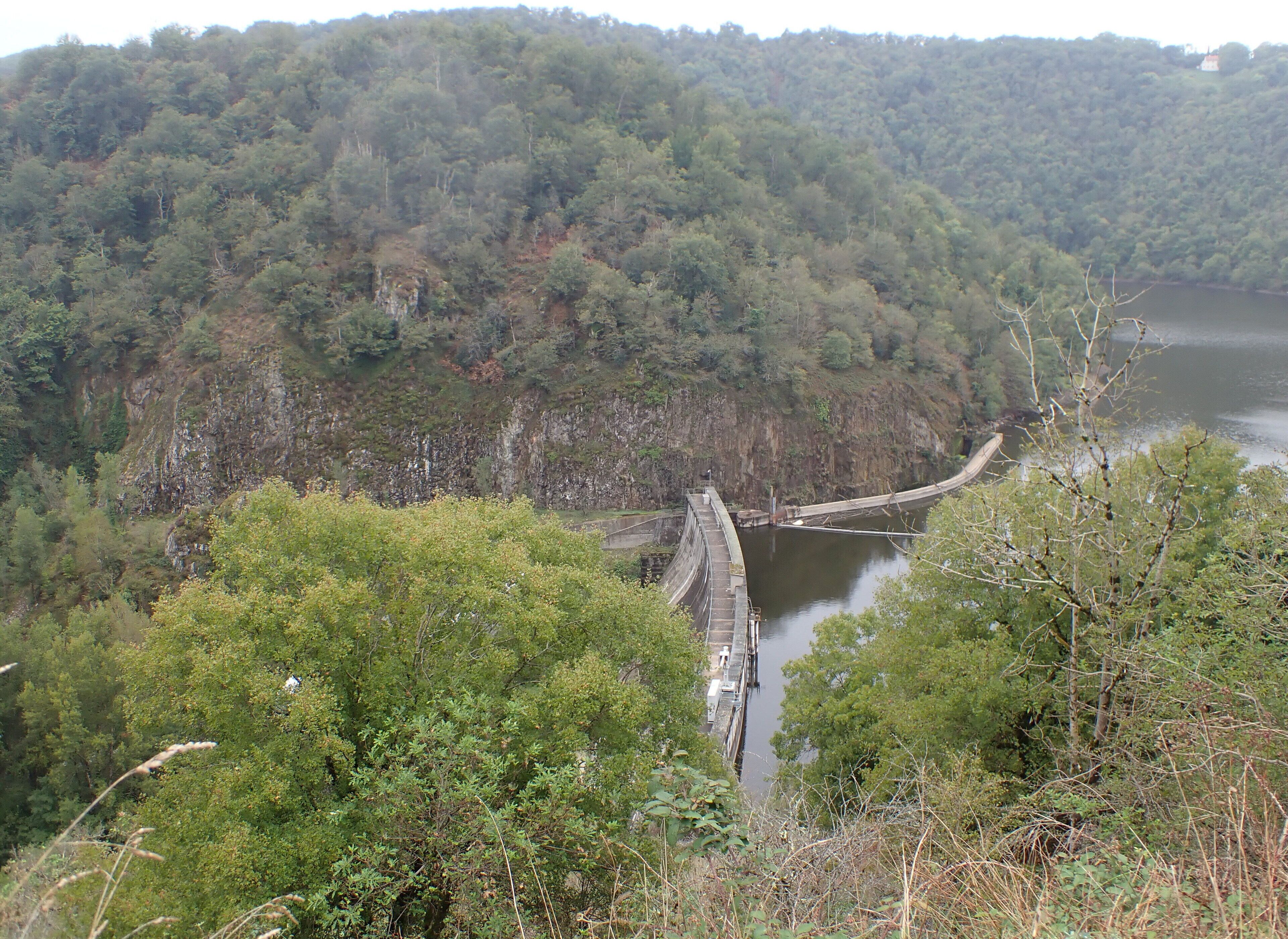 A bridge over a river surrounded by dense forest.