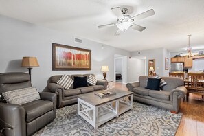 TV connectée, cheminée, lecteur de DVD