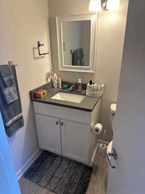 Shower, towels, toilet paper