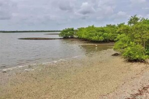 Un paisaje costero con una playa arenosa, agua tranquila y densa vegetación verde.