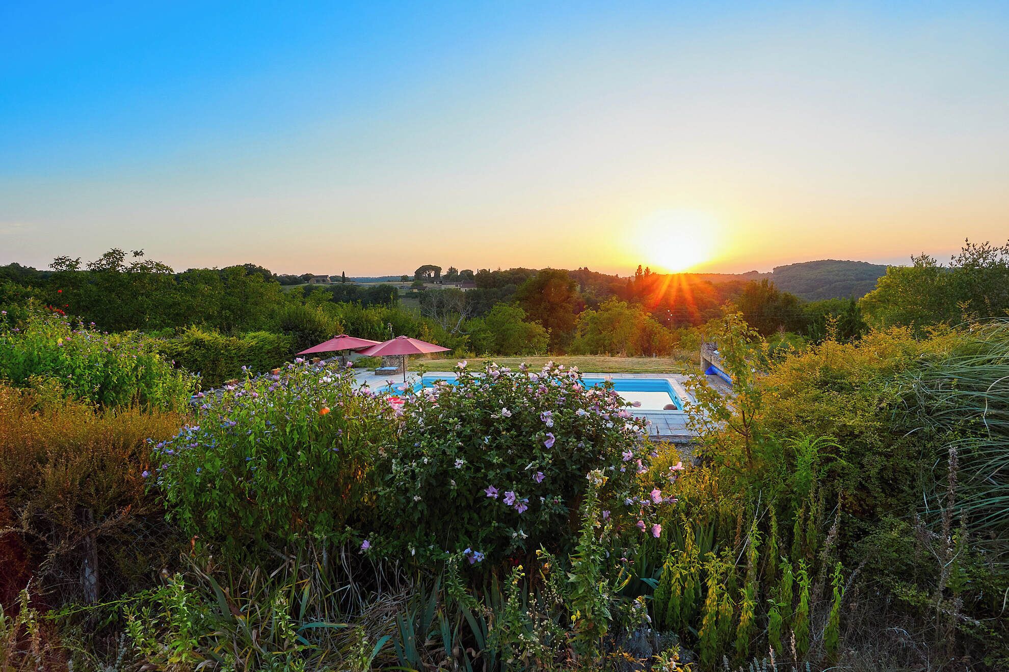 Una piscina rodeada de exuberante vegetación y un atardecer de fondo.