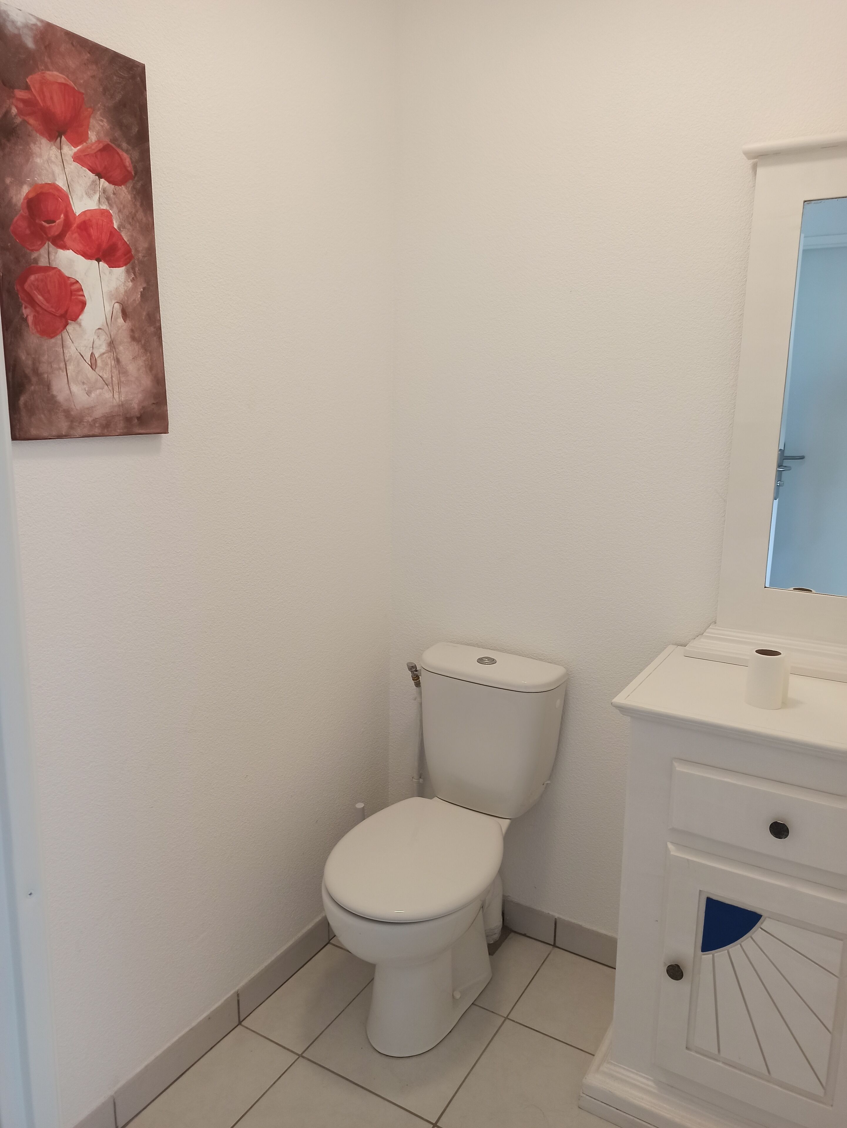Een badkamer met een wit toilet, een witte wastafel met blauw accent en een schilderij van rode bloemen aan de muur.