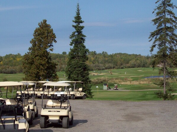 A golf course with multiple golf carts parked in a line.