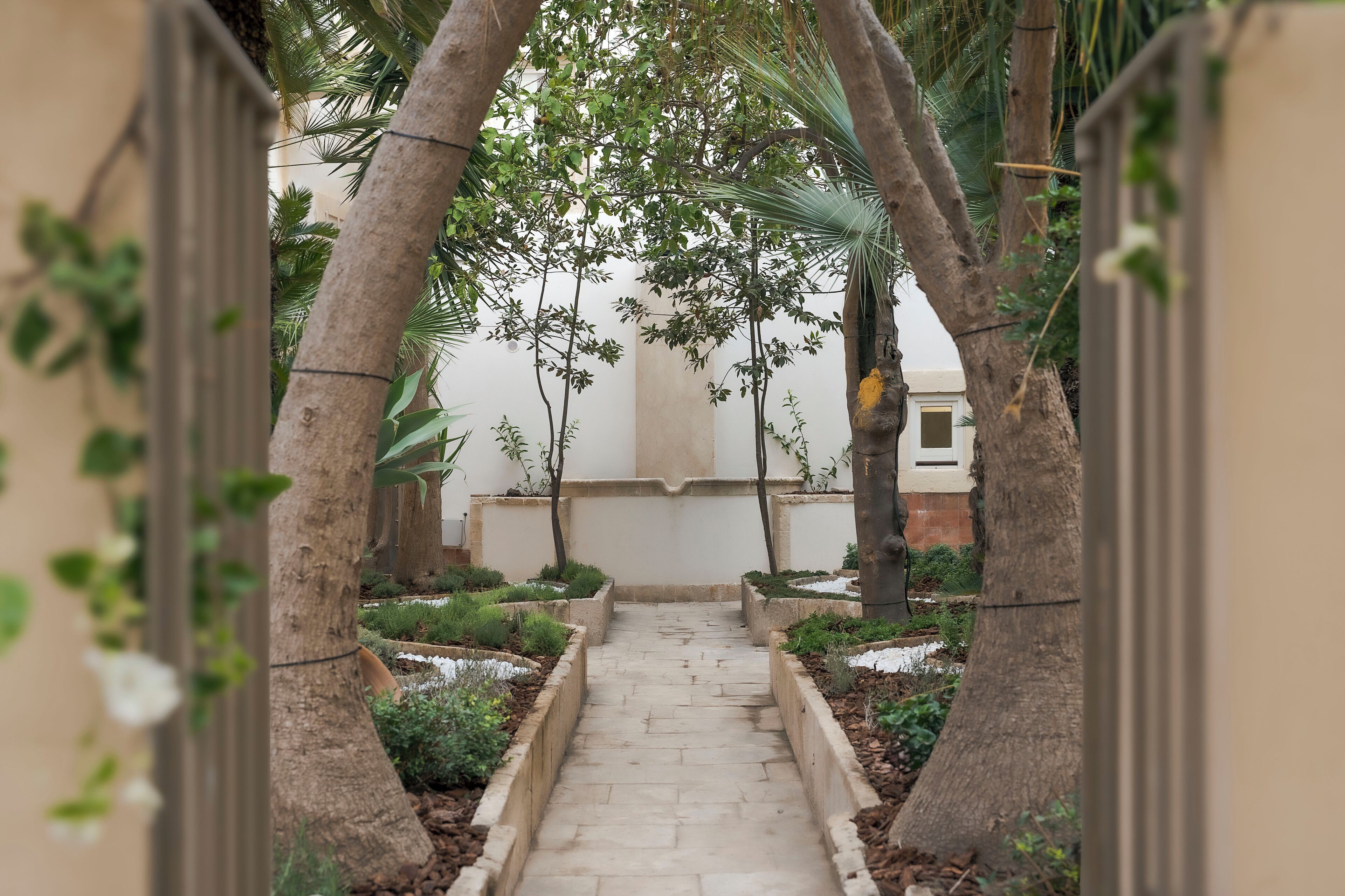A pathway flanked by trees and plants, leading to a building with a white facade.