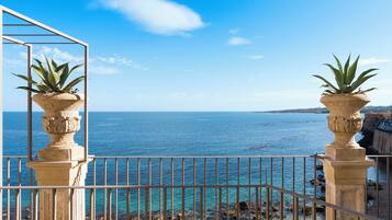 A balcony with a view of the sea, featuring two potted plants and a metal railing.