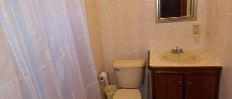 Doccia, asciugamani, carta igienica