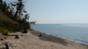 Une plage avec un rivage sablonneux, des arbres et un ciel dégagé.