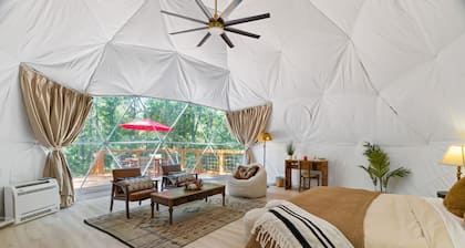 The Bird House | 8 Beds 2 Baths