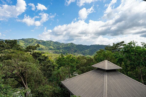 A view of a building with a triangular roof, surrounded by lush greenery and hills in the background. - Casa Maracuya (San Mateo)