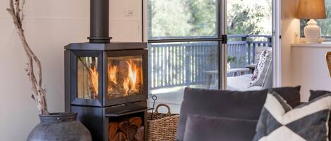 TV, fireplace, DVD player, books