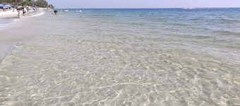 La Habana Condo1 BR 4 guests, 3 min walk to Beach,easy to go Cicada Market ..,