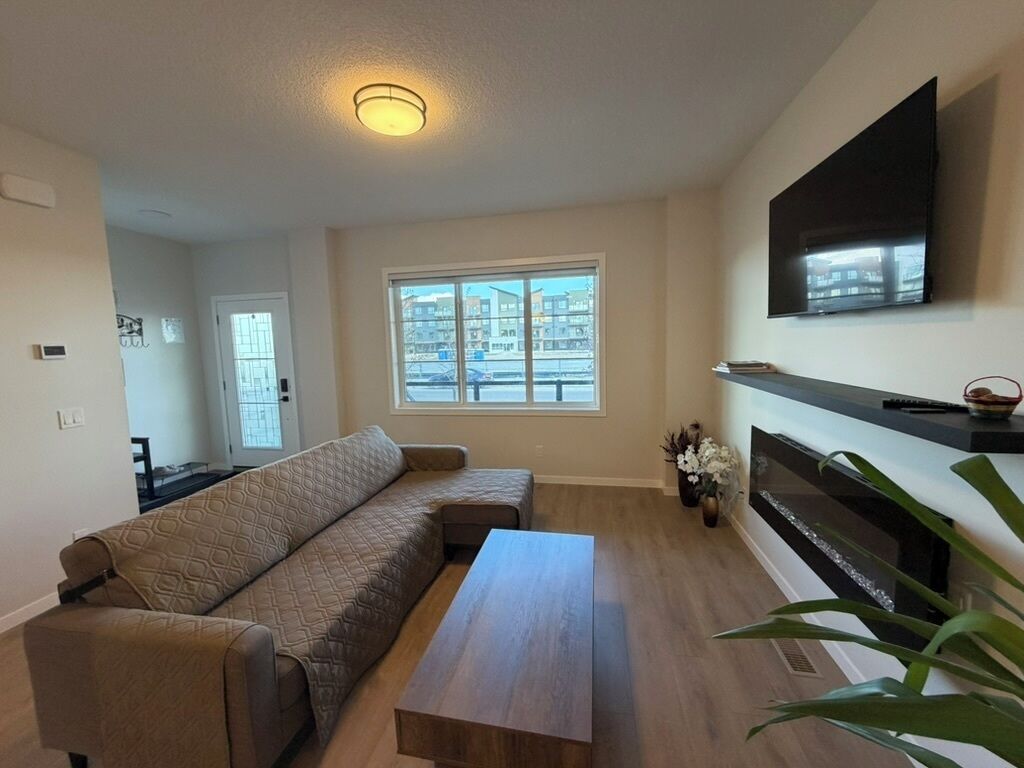 Smart TV, fireplace, DVD player, books