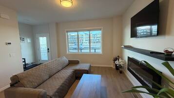 Smart TV, fireplace, DVD player, books