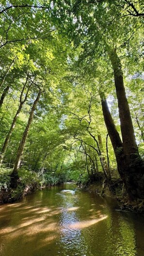 Miscellaneous