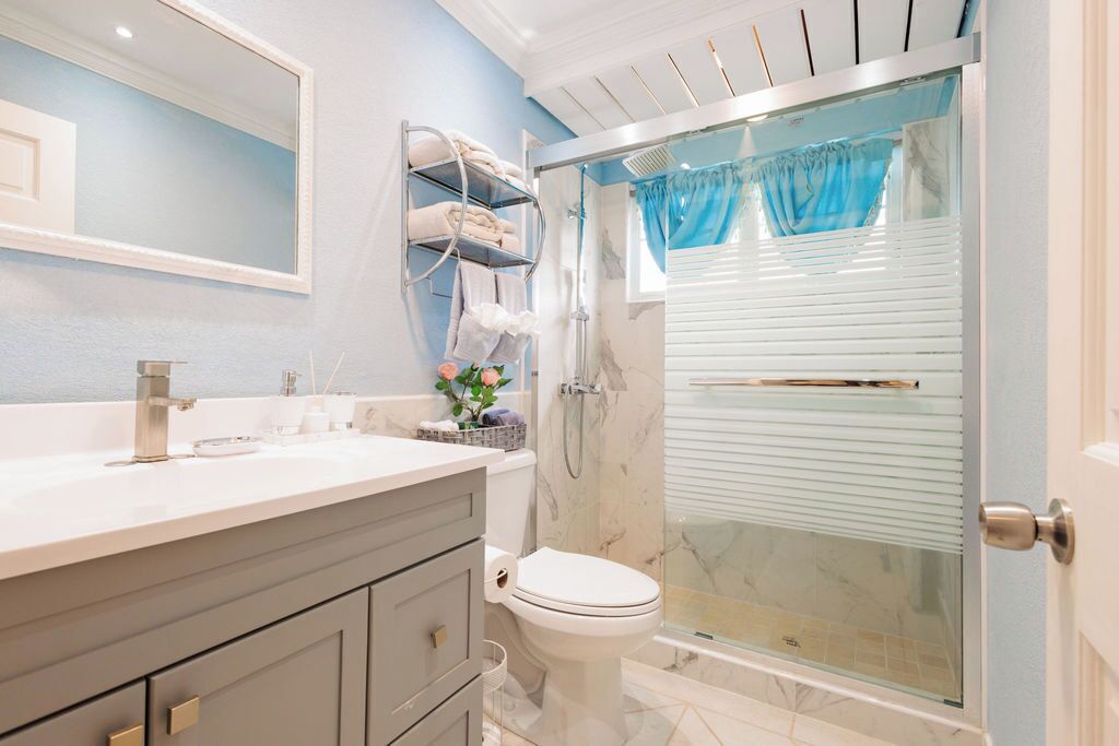 Shower, towels, soap, toilet paper
