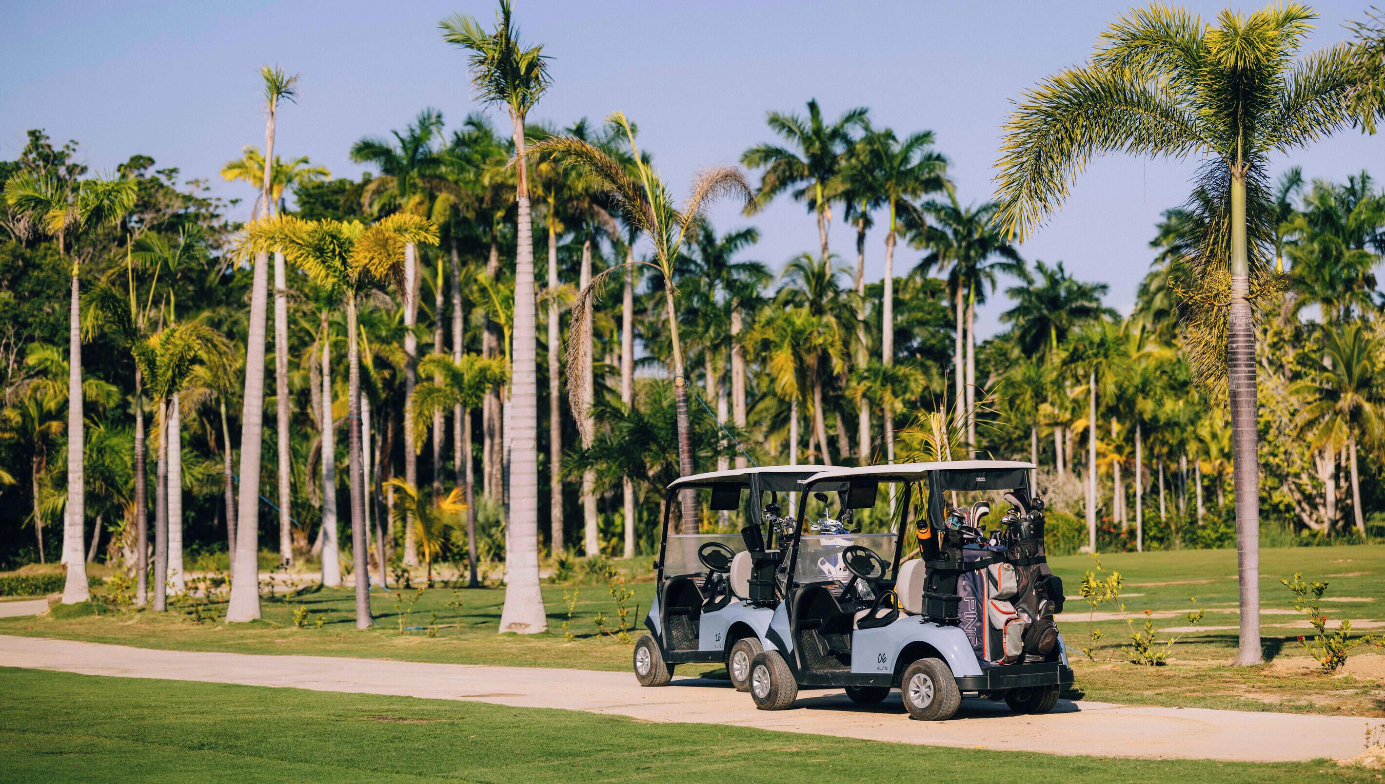 A golf cart on a path with palm trees in the background.