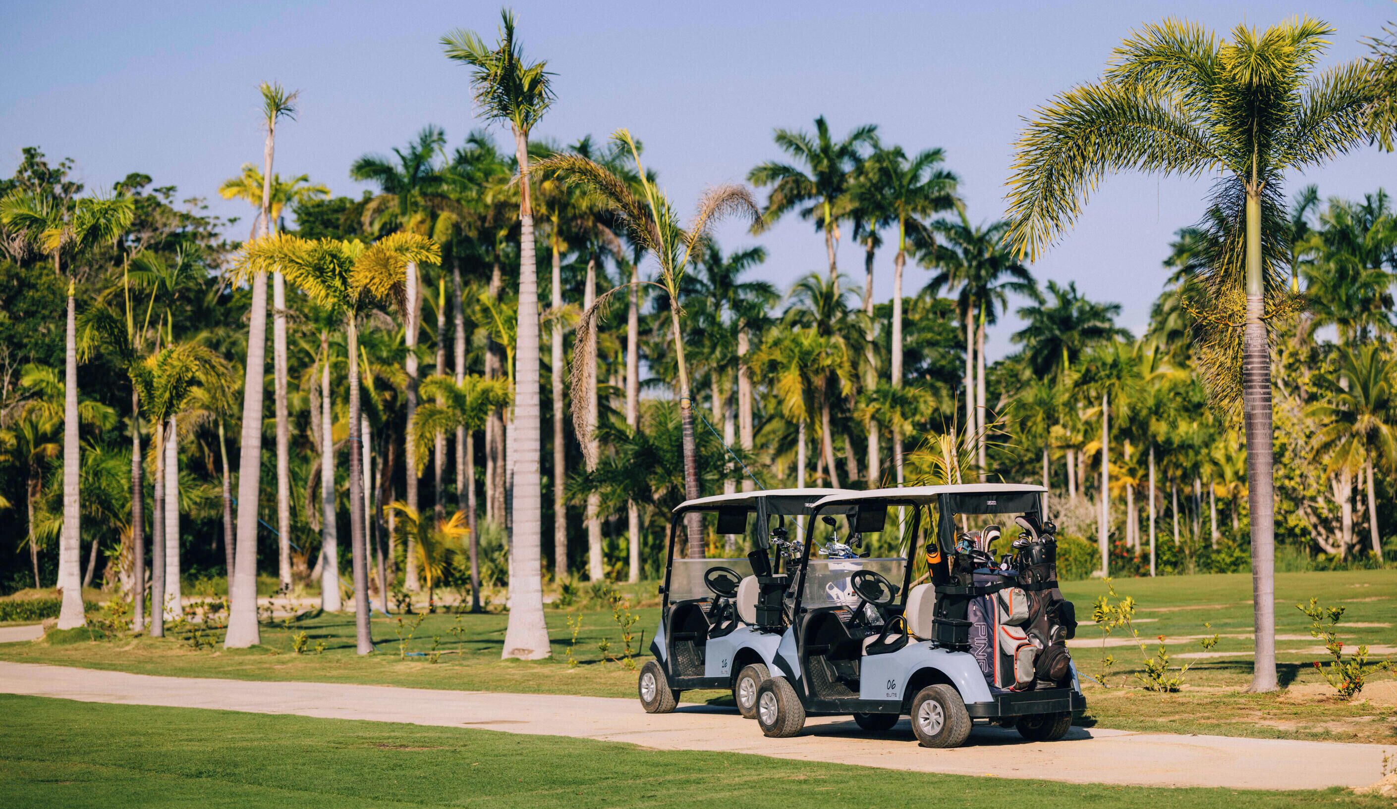 A golf cart on a path with palm trees in the background.