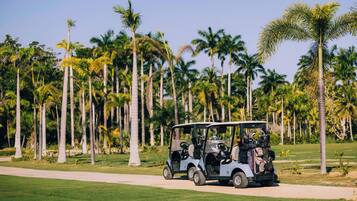 A golf cart on a path with palm trees in the background.