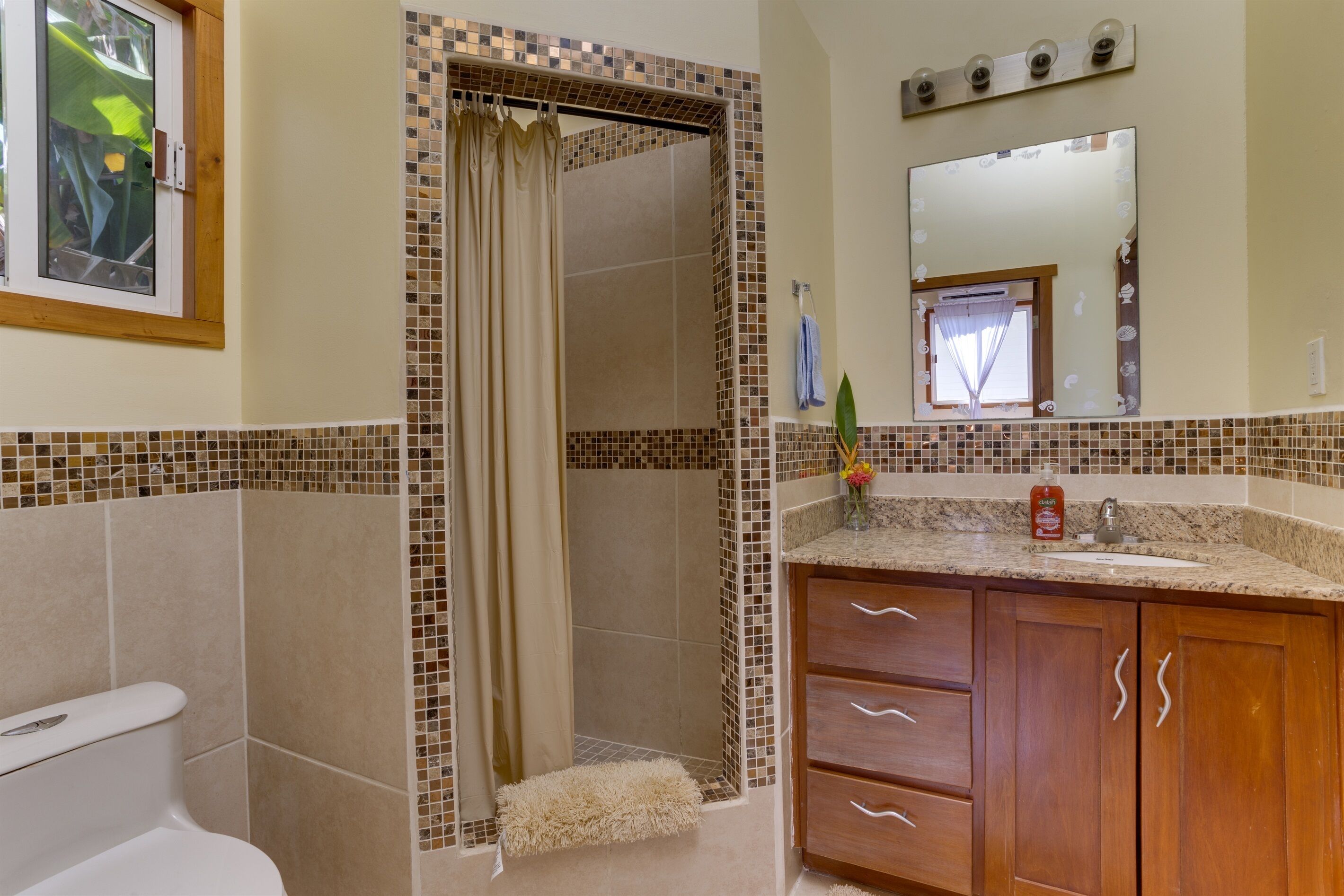 Shower, hair dryer, towels