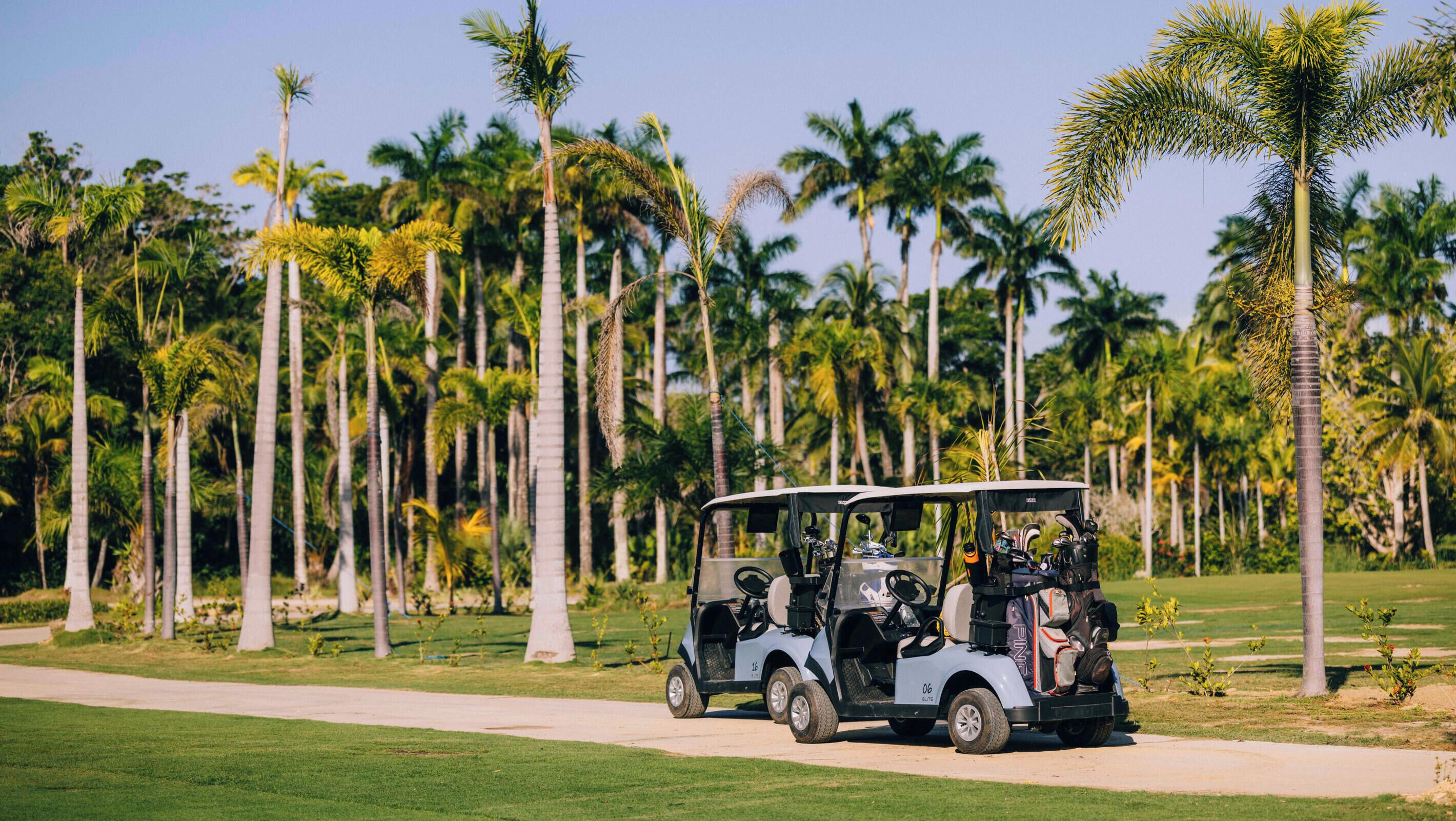 A golf cart on a path with palm trees in the background.