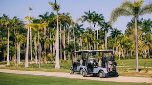 A golf cart on a path with palm trees in the background.