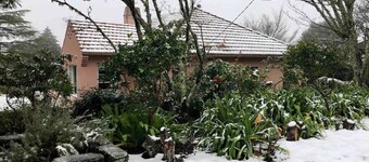 Sublime Art Deco Cottage: Leura, Blue Mountains