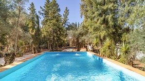 A rectangular swimming pool surrounded by trees and plants. - Luxurious home in Santaella (Santaella)