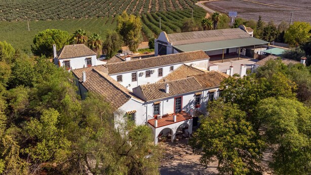 A white building with terracotta roofs, surrounded by lush greenery and olive groves. - Luxurious home in Santaella (Santaella)
