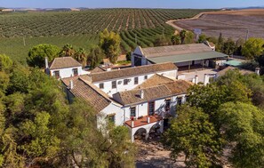A white building with terracotta roofs, surrounded by lush greenery and olive groves. - Luxurious home in Santaella (Santaella)