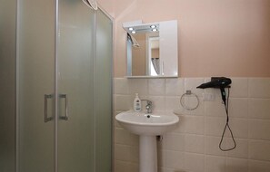 Shower, hair dryer
