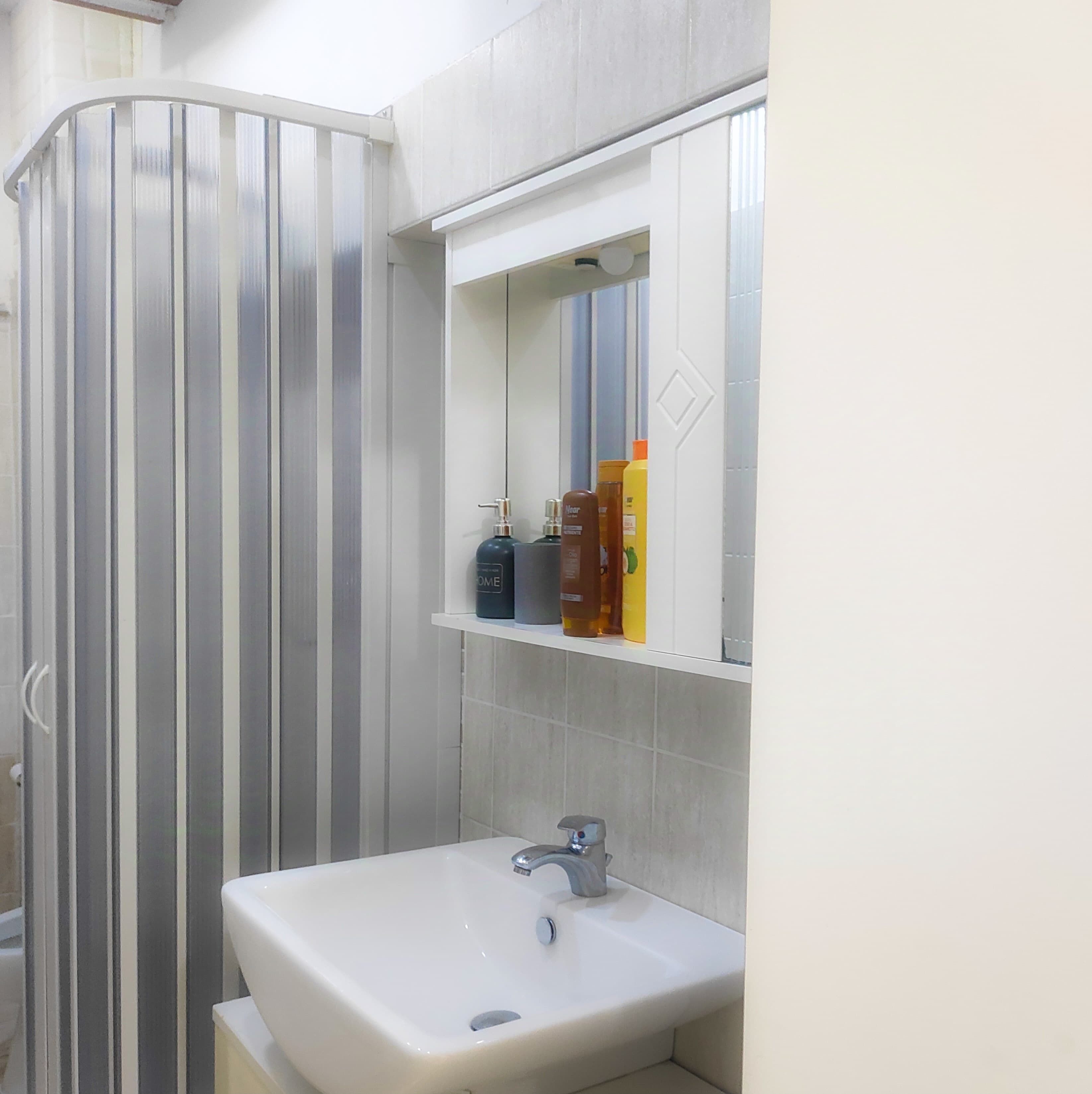 Regadera, amenidades de baño gratuitas, secadora de cabello, bidet 