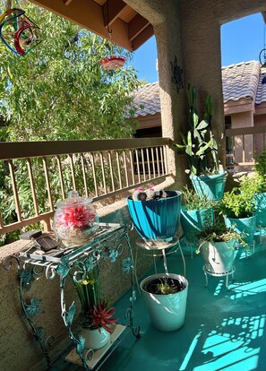 Property grounds - Relaxing 2-Bedroom Condo in Amazing Scottsdale! (Scottsdale)