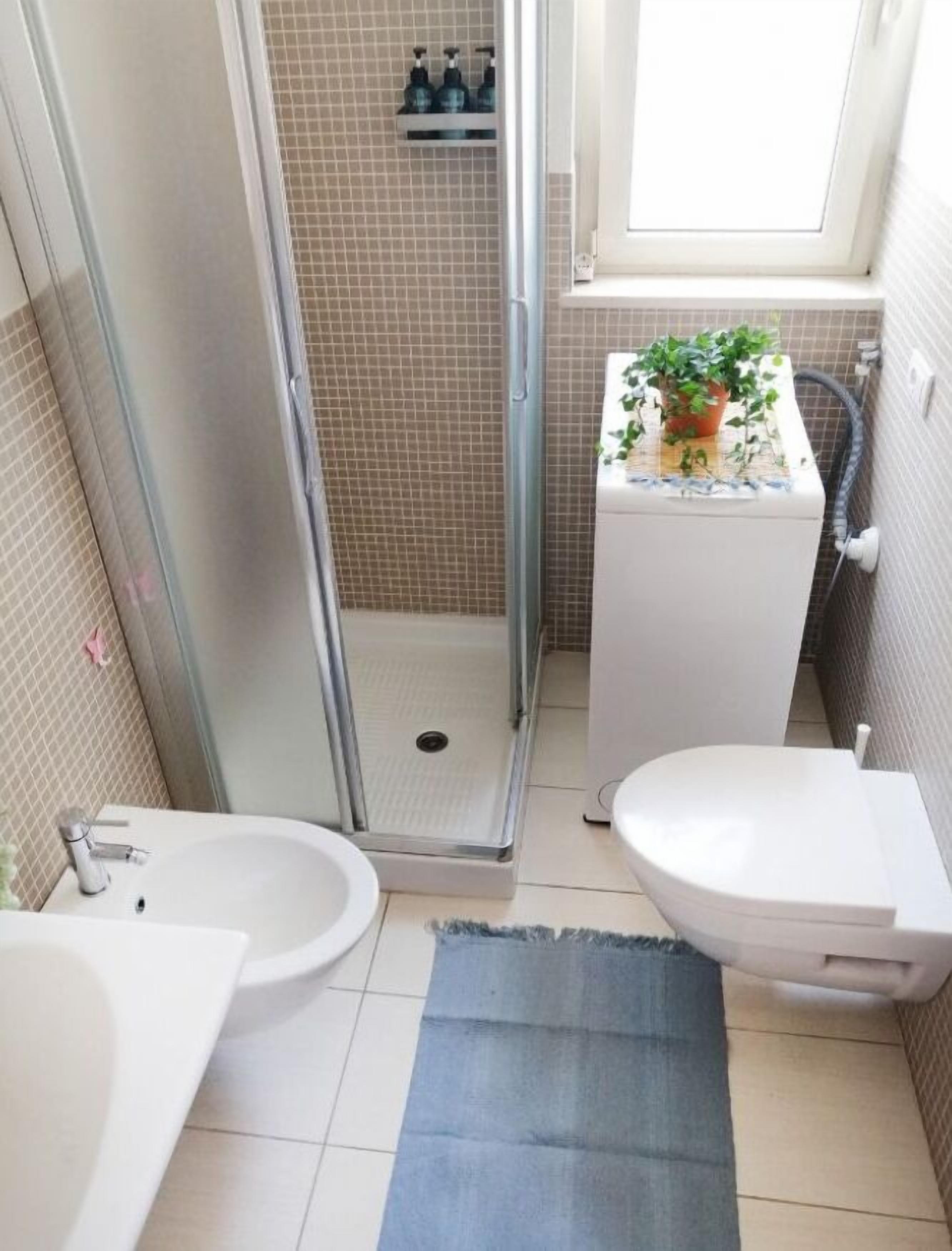 Une salle de bain avec une douche, des toilettes, un lavabo et une petite plante en pot.