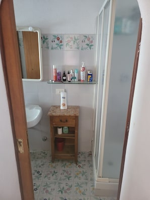Shower, hair dryer, bidet, towels